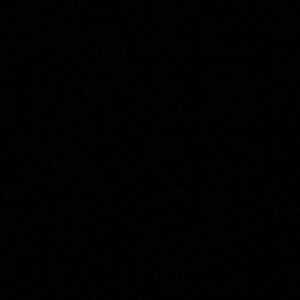 Meet your Posher, Carter